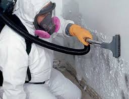 Best Biohazard Mold Removal  in Ainsworth, NE